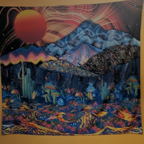 Flags - Picture 4 of 4